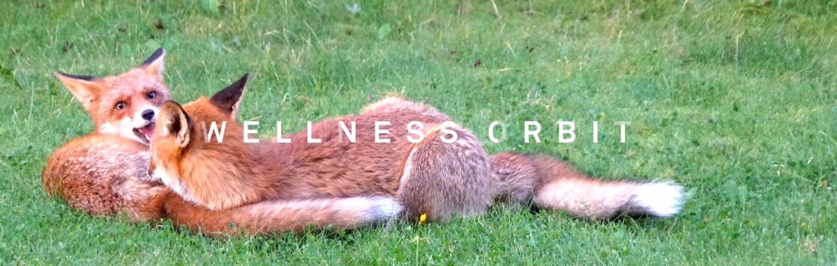 Life on your terms: when approached consciously, work becomes another form of play. Life on your terms: when approached consciously, work becomes another form of play.