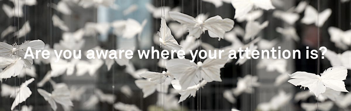 Are you aware where your attention is? Always? Is it jumping on autopilot mode from novelty to new and stronger novelty, or focused where you desire it to be?
