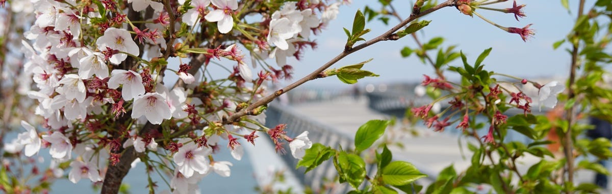 Using awareness in the present moment is what allows you to use practical intrapersonal skills to build the bridge to the bright future you desire.